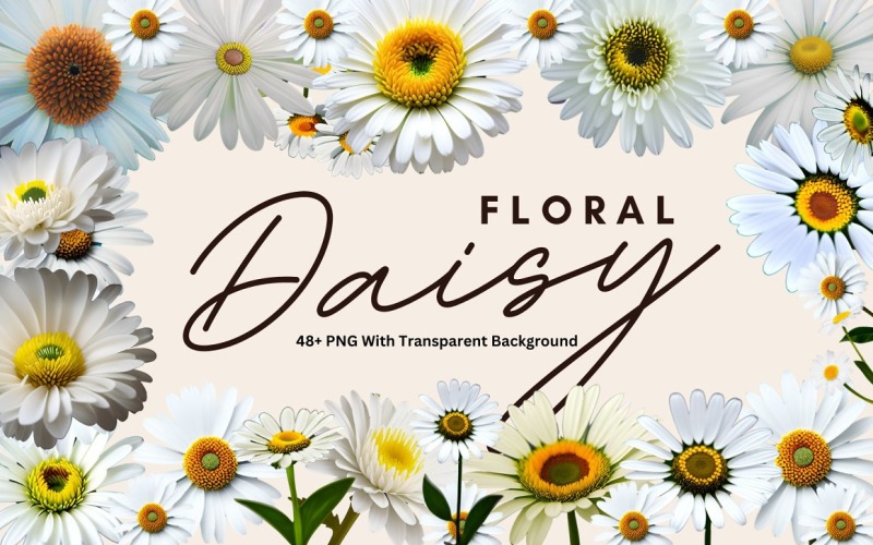 Daisy Floral Premium PNG Bundle Background