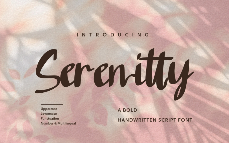 Serenitty - Modern Script fonts Font