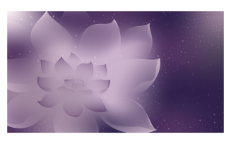 Purple Color Scheme Background Image 14400x8100px with Purple Lotus on Starry Sky