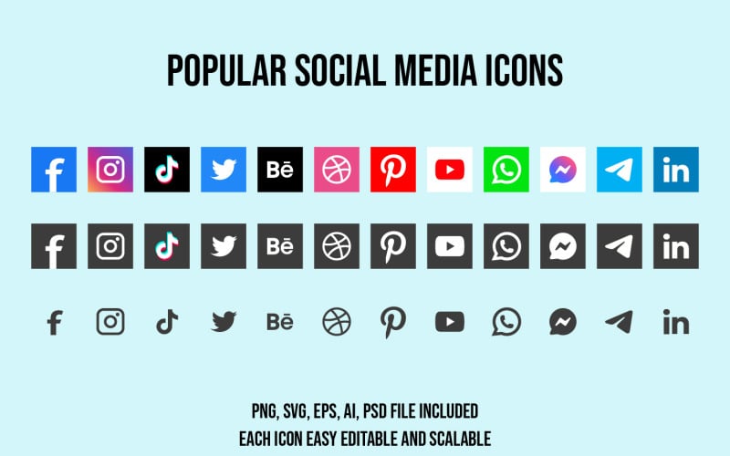 Popular Social Media Icons Icon Set