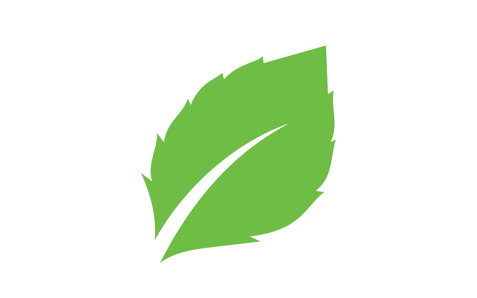 Kit Graphique #326988 Green Feuille Divers Modles Web - Logo template Preview