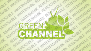 TV Channel Logo Template vlogo