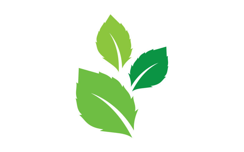 Leaf eco green tea nature fresh logo vector v23 Logo Template