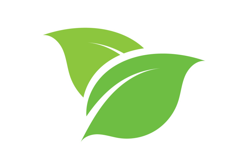Leaf eco green tea nature fresh logo vector v40 Logo Template