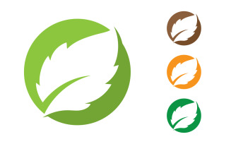 Flower leaf circle decoration or logo nature v6