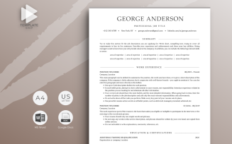 Professional Resume Template George Anderson