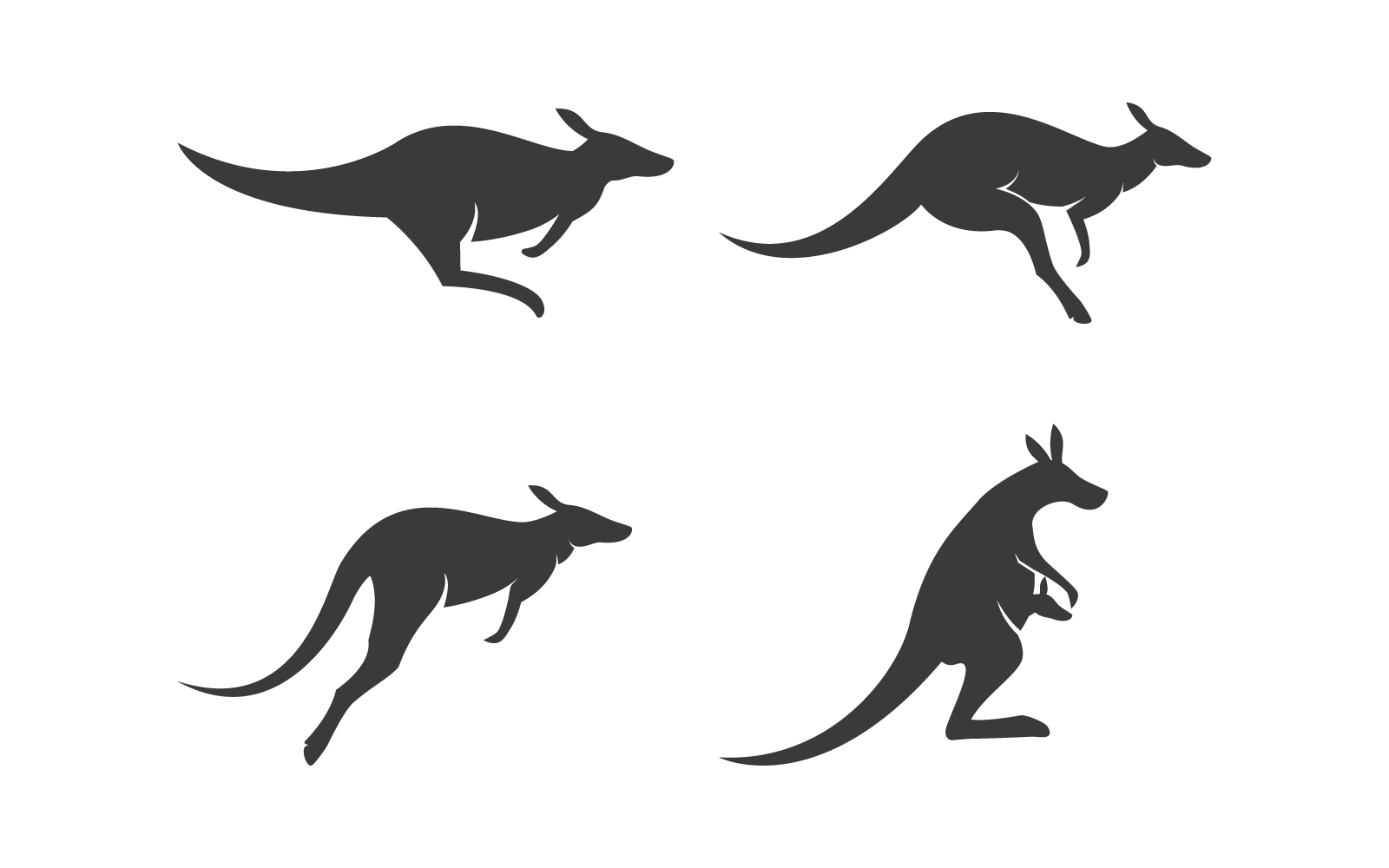 Set of Kangaroo logo template vector flat design Logo Template