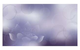 Violet Background Image 14400x8100px with Lotus and Rounded Ornaments