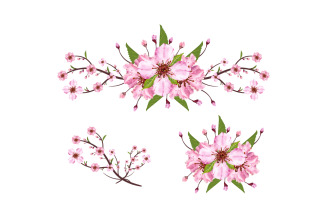 Cherry Blossom Branch with Pink Sakura vector