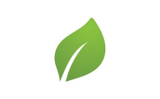 Eco leaf green tree tea leaf and nature leaf logo v12