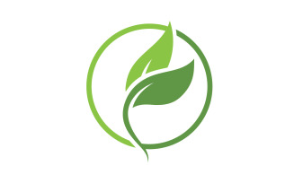 Eco leaf green tree tea leaf and nature leaf logo v16