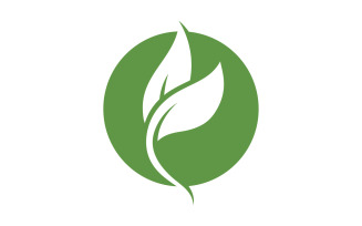 Eco leaf green tree tea leaf and nature leaf logo v18