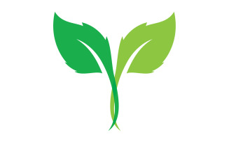 Eco leaf green tree tea leaf and nature leaf logo v25