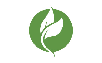 Eco leaf green tree tea leaf and nature leaf logo v34