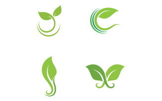 Eco leaf green tree tea leaf and nature leaf logo v49
