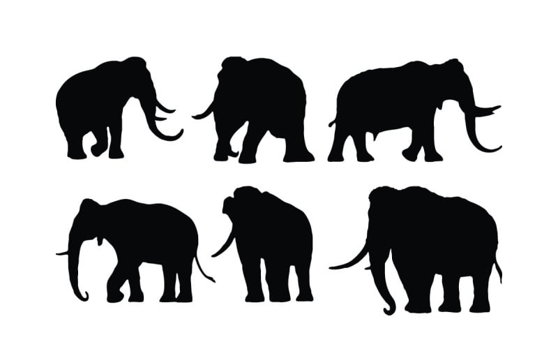 Elephant walking silhouette set vector Illustration