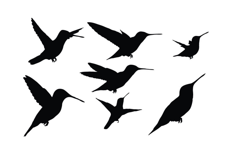 Hummingbird silhouette collection vector Illustration