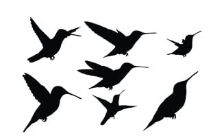 Hummingbird silhouette collection vector