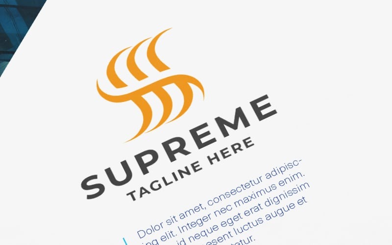 Supreme Business Letter S Pro Logo Logo Template