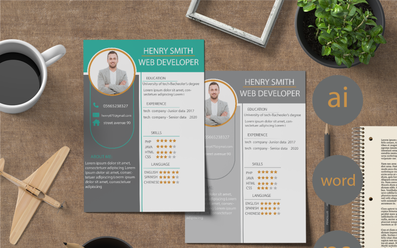 Professional C V Design With Three Different Colors Resume Template