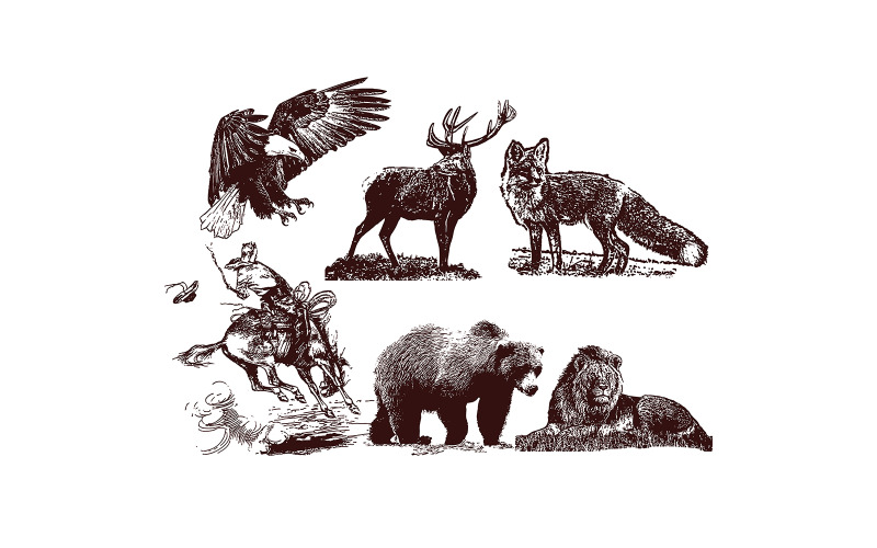 Animals Set Vol.3 Illustration