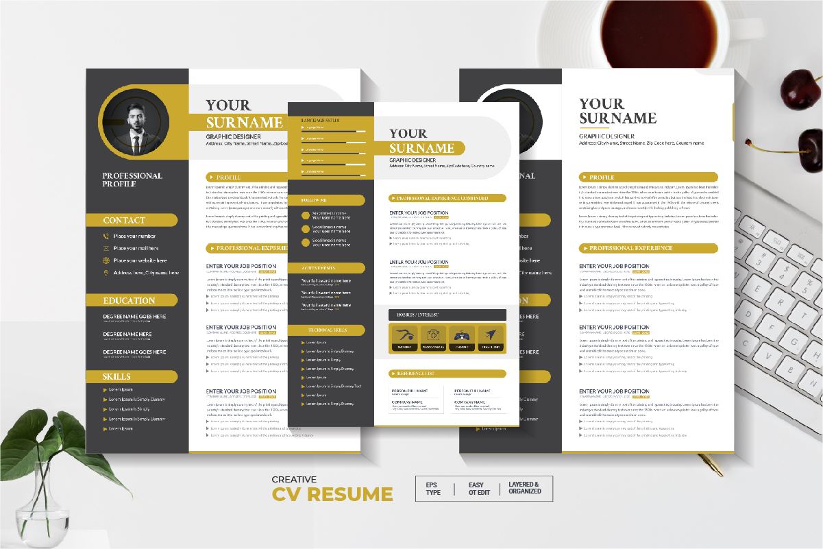 Kit Graphique #330930 Professional Resume Divers Modles Web - Logo template Preview