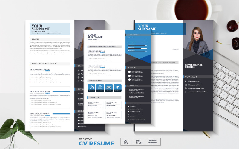 Professional 3 Pages Resume or Cv Template Resume Template