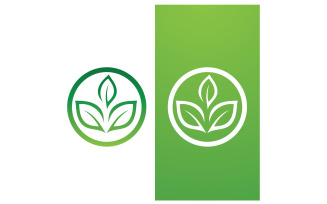 Eco leaf green fresh nature go green tree logo design template v10