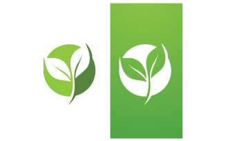 Eco leaf green fresh nature go green tree logo design template v12