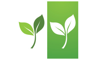 Eco leaf green fresh nature go green tree logo design template v13