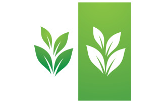 Eco leaf green fresh nature go green tree logo design template v19