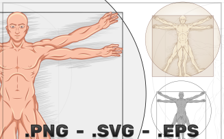 Vector Design Vitruvian Man Human Proportions