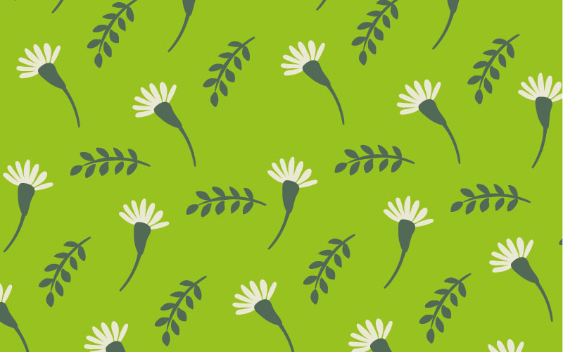 Cute seamless pattern with scattered flowers and leaves Pattern