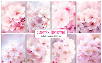 Pink cherry blossom and Realistic sakura with pink flowers and falling petals background