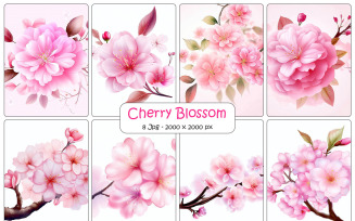 Sakura cherry pink flowers background and floral elements