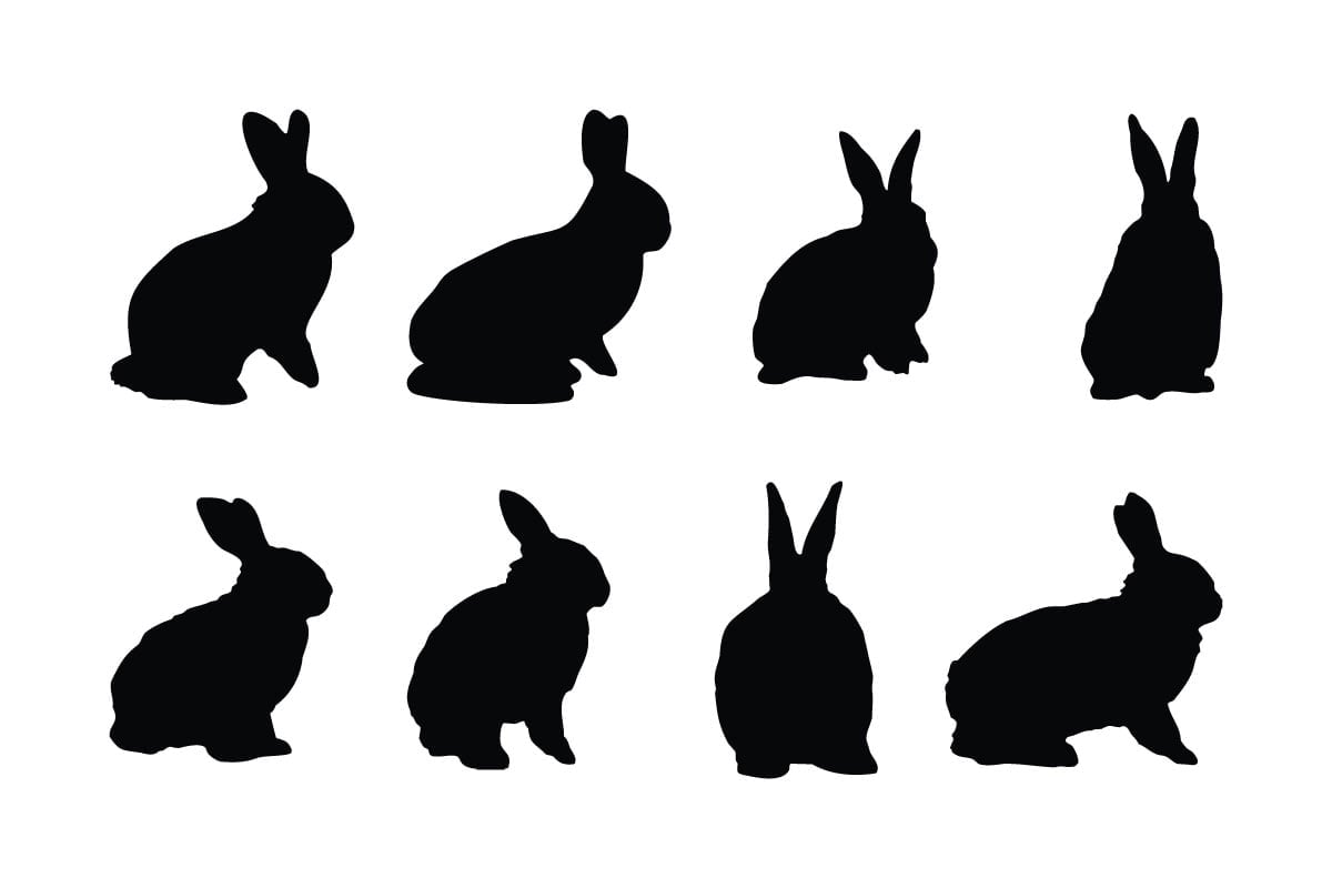 Kit Graphique #332251 Bunny Vector Divers Modles Web - Logo template Preview