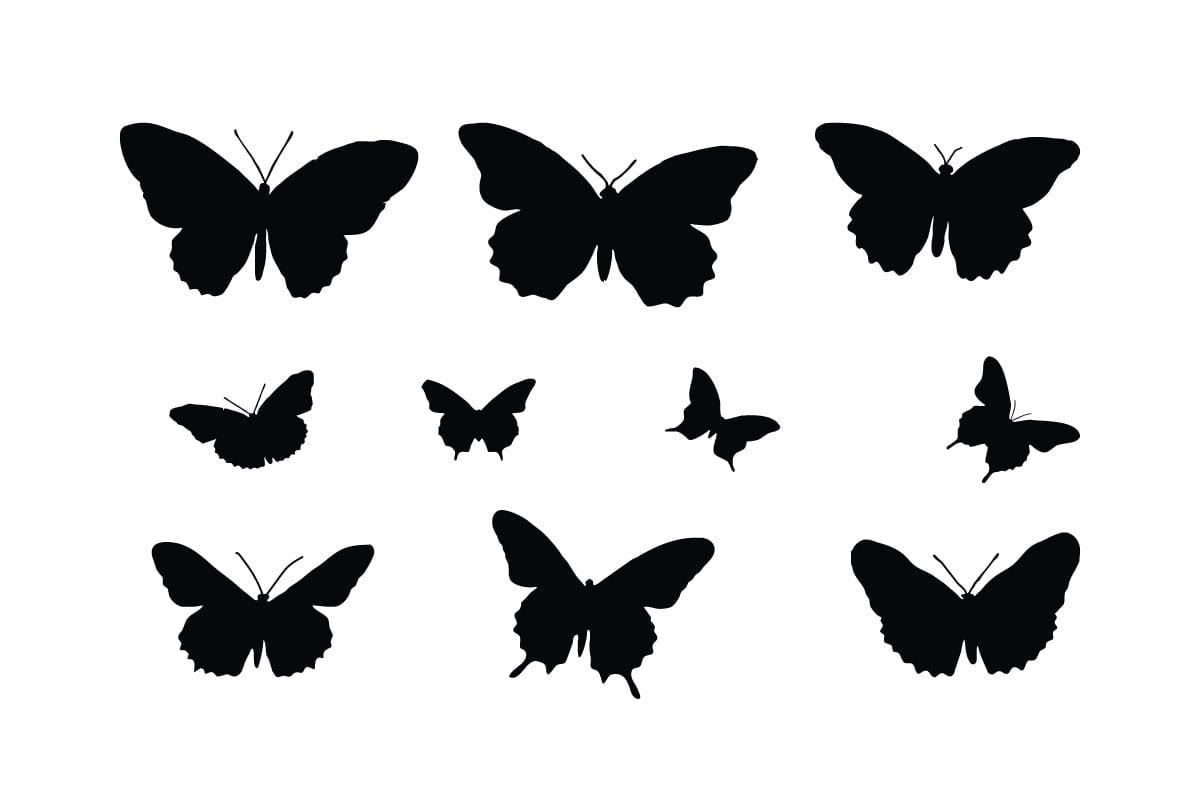 Kit Graphique #332253 Nature Monarch Divers Modles Web - Logo template Preview