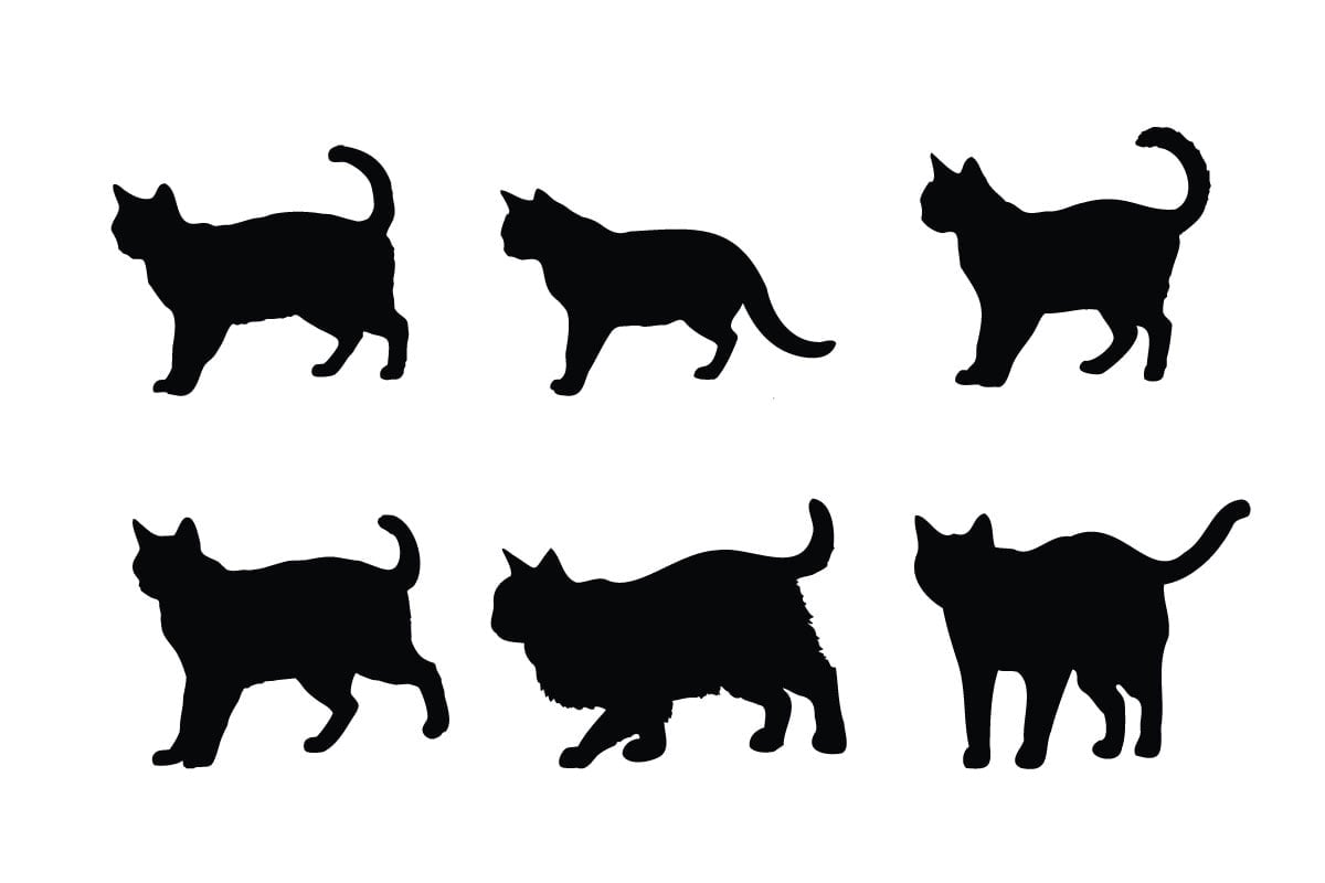 Kit Graphique #332254 Cat Symbol Divers Modles Web - Logo template Preview