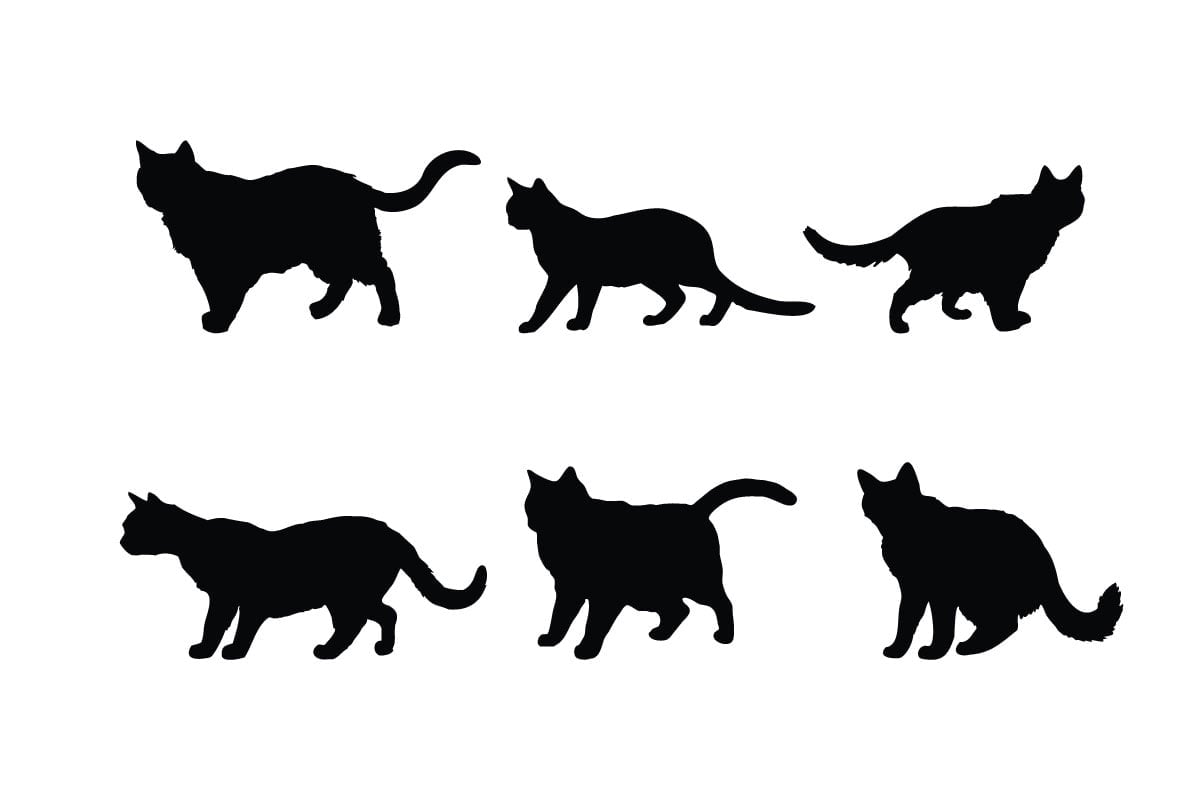 Kit Graphique #332255 Cat Symbol Divers Modles Web - Logo template Preview