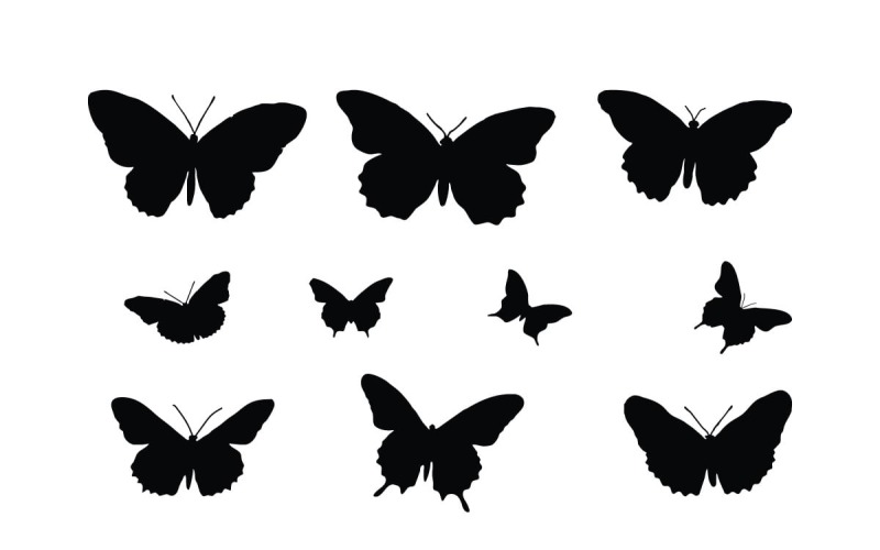 Butterfly silhouette collection vector Illustration