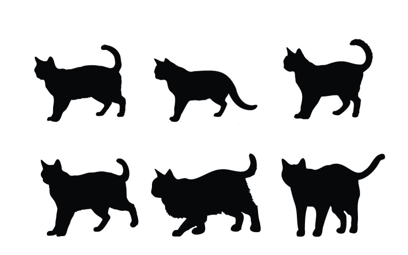Cat silhouette design collection vector Illustration