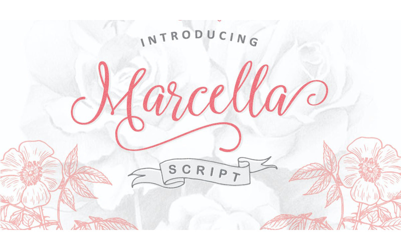 Marcella Script Font - Marcella Script Font