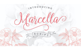Marcella Script Font - Marcella Script Font