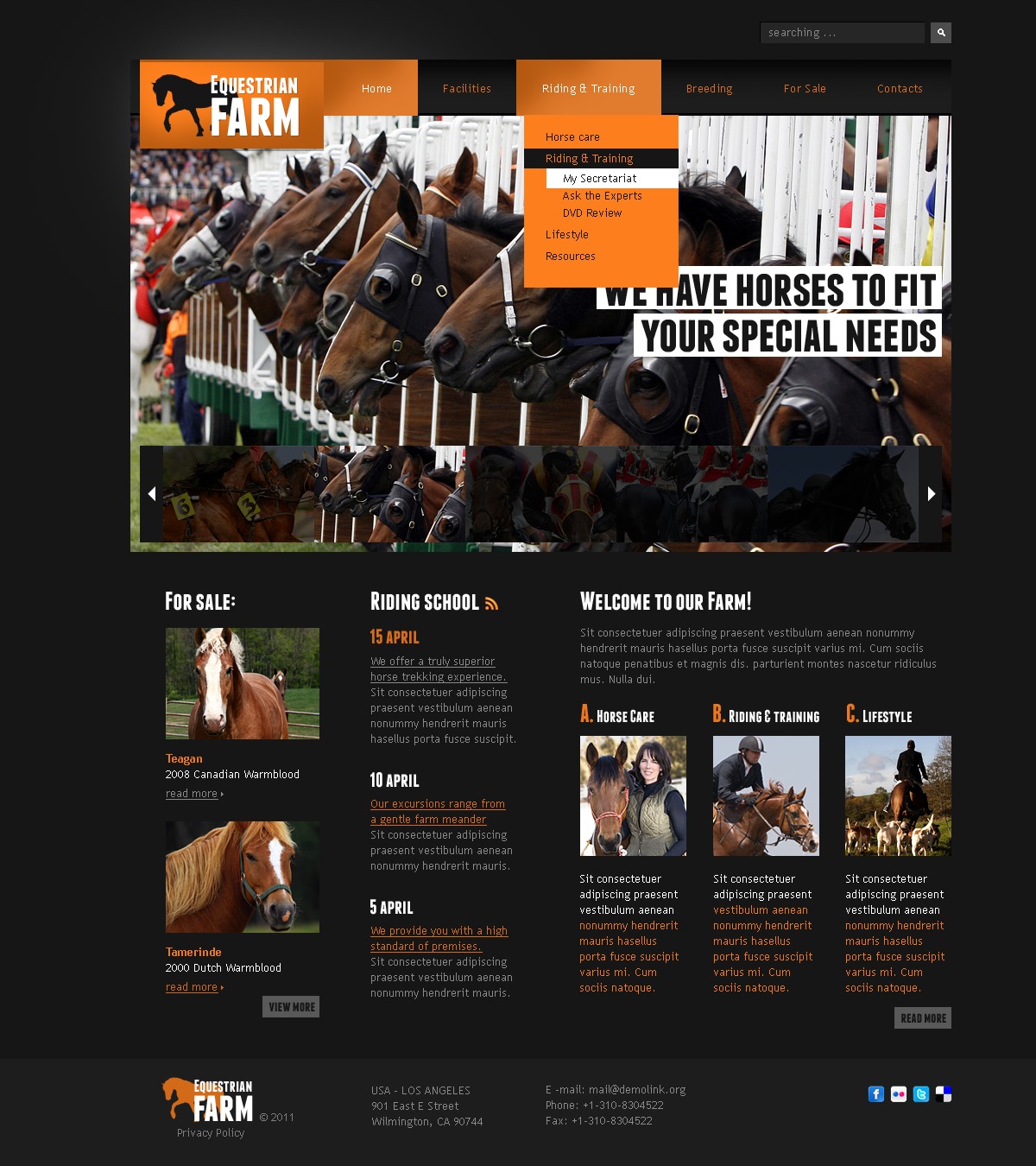 Horse site Template 33320