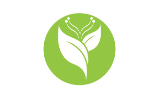 Eco leaf green nature element go green logo v53