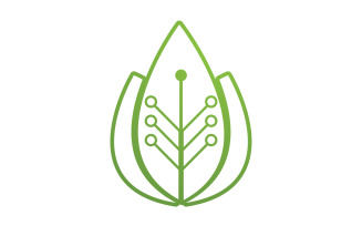 Green eco leaf nature logo template v4