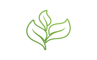 Green eco leaf nature logo template v6
