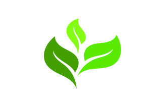 Leaf eco green tree logo nature template design v21