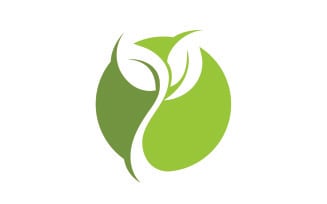 Leaf eco green tree logo nature template design v22