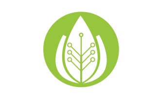 Leaf eco green tree logo nature template design v35